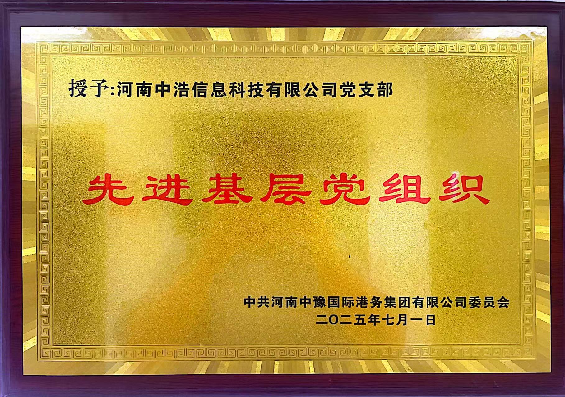 喜报！中浩科技党支部在“两优一先”表彰中荣获多项荣誉