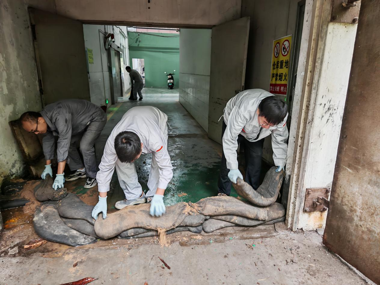 1761893537252.png 1761893537252.png